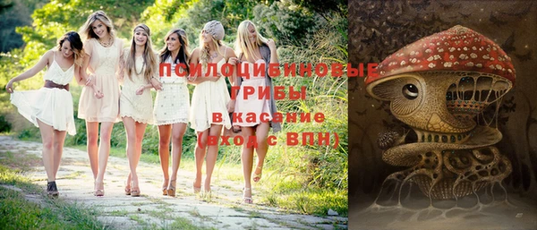 мяу мяу мука Кукмор