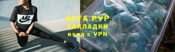 крисы Кулебаки