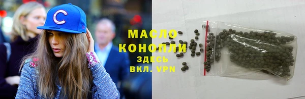 крисы Кулебаки