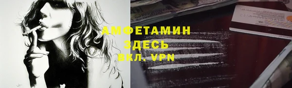 крисы Кулебаки