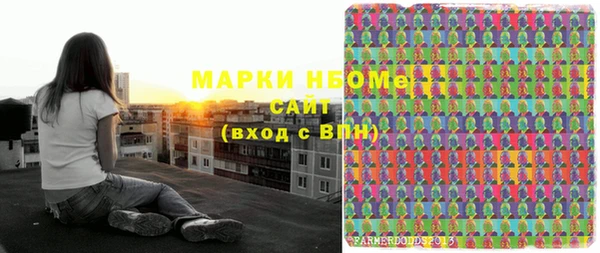 крисы Кулебаки