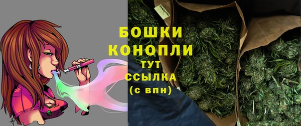МДПВ Лагань