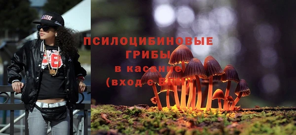 мяу мяу мука Кукмор