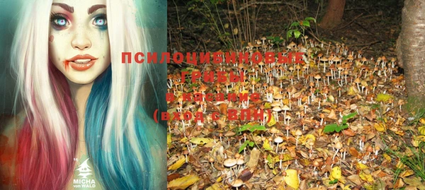 стафф Куйбышев