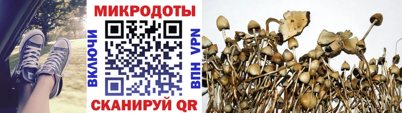 Псилоцибиновые грибы прущие грибы Чердынь